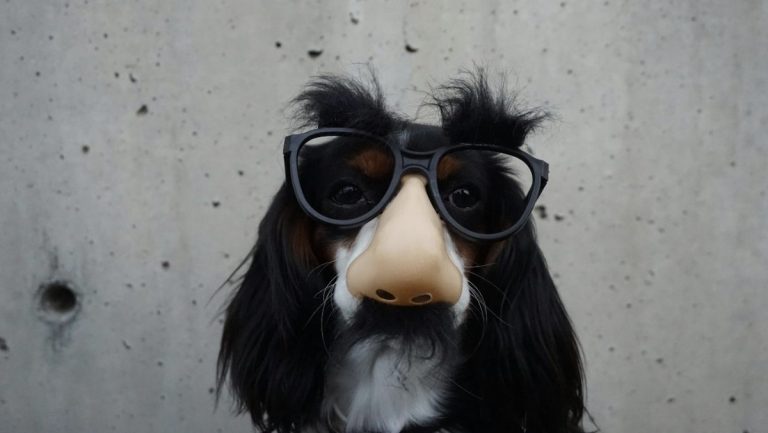 Opportunity often wears the disguise of adversity.